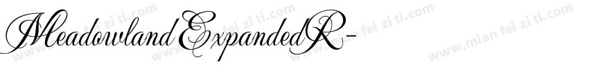 Meadowland ExpandedR字体转换